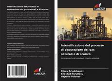 Capa do livro de Intensificazione del processo di depurazione dei gas naturali e di scarico 