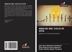ANALISI DEL CICLO DI VITA kitap kapağı