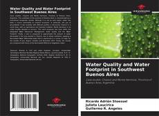 Copertina di Water Quality and Water Footprint in Southwest Buenos Aires