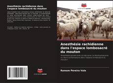 Bookcover of Anesthésie rachidienne dans l'espace lombosacré du mouton