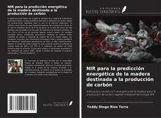Copertina di NIR para la predicción energética de la madera destinada a la producción de carbón