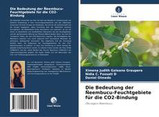 Capa do livro de Die Bedeutung der Ñeembucu-Feuchtgebiete für die CO2-Bindung 
