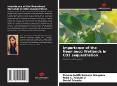 Capa do livro de Importance of the Ñeembucú Wetlands in CO2 sequestration 