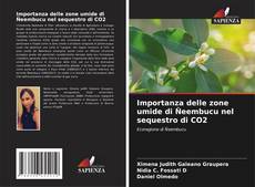 Capa do livro de Importanza delle zone umide di Ñeembucu nel sequestro di CO2 