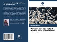 Buchcover von Wirksamkeit der Malojillo-Pflanze als Antibakterium
