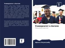 Университет в Анголе kitap kapağı