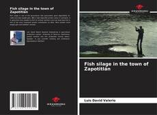 Portada del libro de Fish silage in the town of Zapotitlán