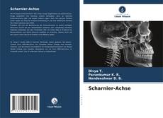 Buchcover von Scharnier-Achse