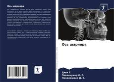 Bookcover of Ось шарнира
