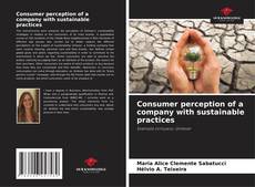 Bookcover of Consumer perception of a company with sustainable practices