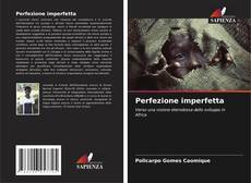 Borítókép a  Perfezione imperfetta - hoz