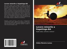 Buchcover von Lavoro minorile a Itapetinga-BA