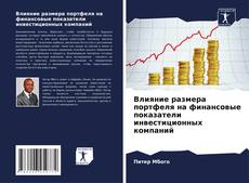 Bookcover of Влияние размера портфеля на финансовые показатели инвестиционных компаний