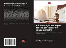 Buchcover von Méthodologie Six Sigma dans le processus de sciage primaire