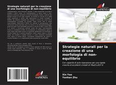 Copertina di Strategie naturali per la creazione di una morfologia di non-equilibrio