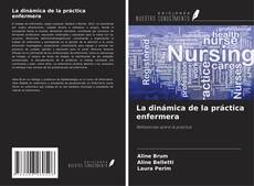 La dinámica de la práctica enfermera kitap kapağı