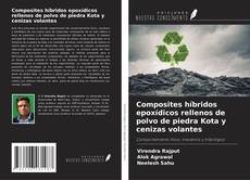 Copertina di Composites híbridos epoxídicos rellenos de polvo de piedra Kota y cenizas volantes