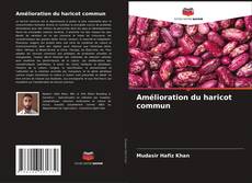 Bookcover of Amélioration du haricot commun