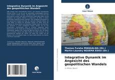 Portada del libro de Integrative Dynamik im Angesicht des geopolitischen Wandels