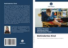 Capa do livro de Behindertes Kind 