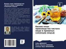 Bookcover of Бизнес-план производства чистого меда и привитых саженцев кешью