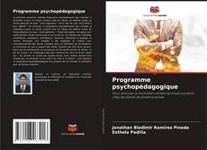 Bookcover of Programme psychopédagogique