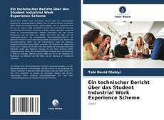 Ein technischer Bericht über das Student Industrial Work Experience Scheme kitap kapağı