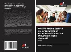 Bookcover of Una relazione tecnica sul programma di esperienza lavorativa industriale degli studenti
