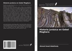 Historia jurásica en Gebel Maghara的封面