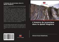 L'histoire du jurassique dans le djebel Maghara kitap kapağı