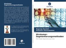 Hirntumor-Segmentierungsmethoden kitap kapağı