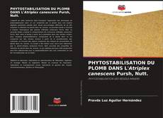 Copertina di PHYTOSTABILISATION DU PLOMB DANS L'Atriplex canescens Pursh, Nutt.