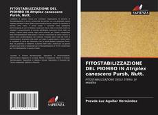Buchcover von FITOSTABILIZZAZIONE DEL PIOMBO IN Atriplex canescens Pursh, Nutt.