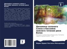 Bookcover of Динамика соляного клина в бассейне нижнего течения реки Болас