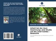 Buchcover von Arbeit bei der Açaí-Gewinnung: eine Studie auf der Insel Combú - Belém/PA
