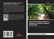 Bookcover of Açaí Extraction Work: a study on Combú Island - Belém/PA