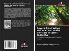 Capa do livro de Lavoro di estrazione dell'açaí: uno studio sull'isola di Combú - Belém/PA 
