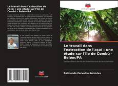 Buchcover von Le travail dans l'extraction de l'açaí : une étude sur l'île de Combú - Belém/PA