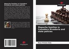 Bookcover of Mapuche families in Comodoro Rivadavia and state policies