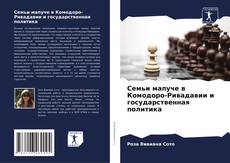 Bookcover of Семьи мапуче в Комодоро-Ривадавии и государственная политика