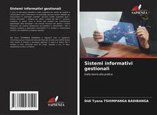 Sistemi informativi gestionali kitap kapağı