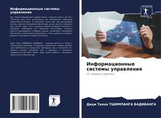 Bookcover of Информационные системы управления