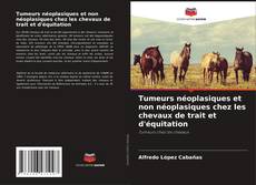 Buchcover von Tumeurs néoplasiques et non néoplasiques chez les chevaux de trait et d'équitation