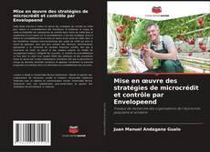 Capa do livro de Mise en œuvre des stratégies de microcrédit et contrôle par Envelopeend 