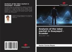 Buchcover von Analysis of the labor market in Guayaquil - Ecuador
