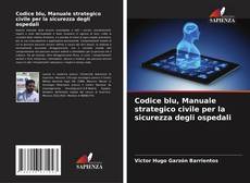 Codice blu, Manuale strategico civile per la sicurezza degli ospedali kitap kapağı