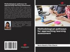 Methodological pathways for approaching learning assessment kitap kapağı