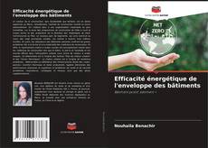Bookcover of Efficacité énergétique de l'enveloppe des bâtiments