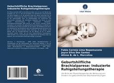 Capa do livro de Geburtshilfliche Brachialparese: Induzierte Ruhigstellungstherapie 