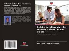 Buchcover von Induire la culture dans les réseaux sociaux : étude de cas